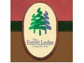 Details : The Forest Lodge Baguio